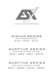 ESX