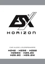 ESX