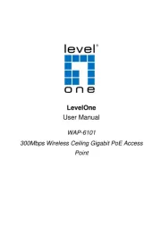 LevelOne