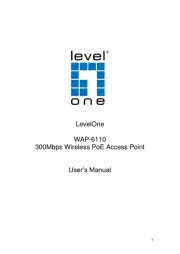 LevelOne