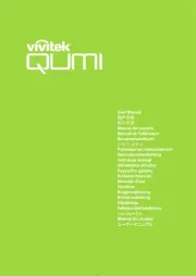 Vivitek