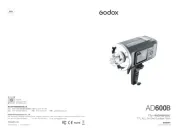 Godox