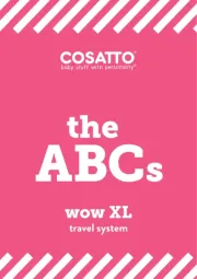Cosatto