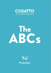 Cosatto