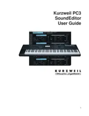 Kurzweil