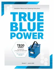 True Blue Power