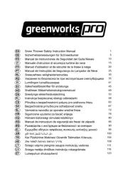 Greenworks