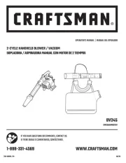 Craftsman