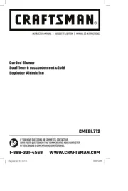 Craftsman