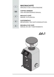 Ceado