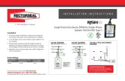 RectorSeal
