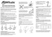 WHALE