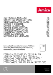 Amica