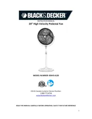 Black Decker