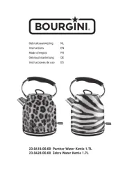 Bourgini