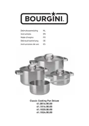 Bourgini