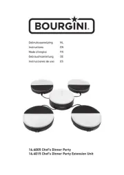 Bourgini