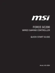 MSI