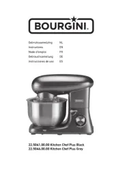 Bourgini