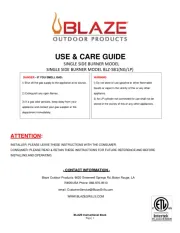Blaze