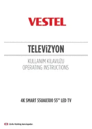Vestel
