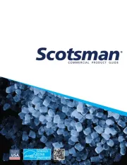 Scotsman