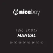Niceboy