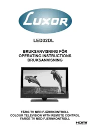 Luxor