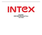 Intex