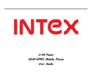 Intex