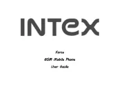 Intex