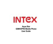 Intex