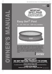 Intex