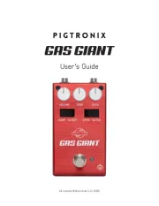 Pigtronix