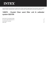 Intex