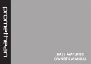 Ibanez
