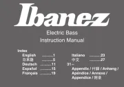 Ibanez