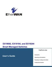 EtherWAN