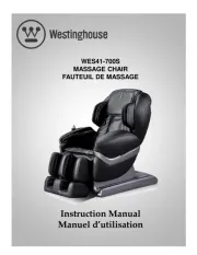 Westinghouse
