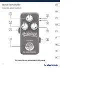 TC Electronic
