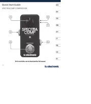 TC Electronic