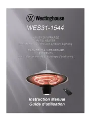 Westinghouse