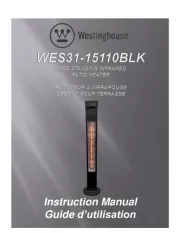 Westinghouse