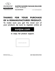 Sun Joe