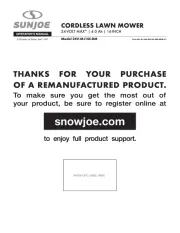 Sun Joe