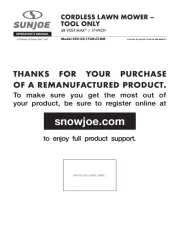 Sun Joe