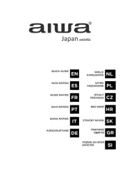 Aiwa