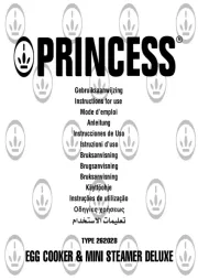 Princess